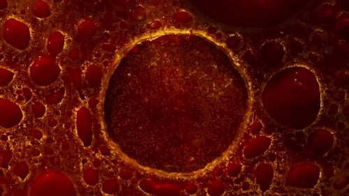 Red Abstract Grunge Bubbles with Dirty Film Texture