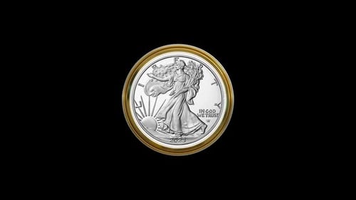 3D Rotating Silver Coin with Golden Trim