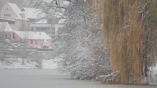 A serene winter view of Prague’s quiet neighborhood, where snow-covered trees and houses surround a