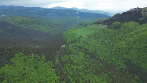 Aerial Landscape Of Green Forest
