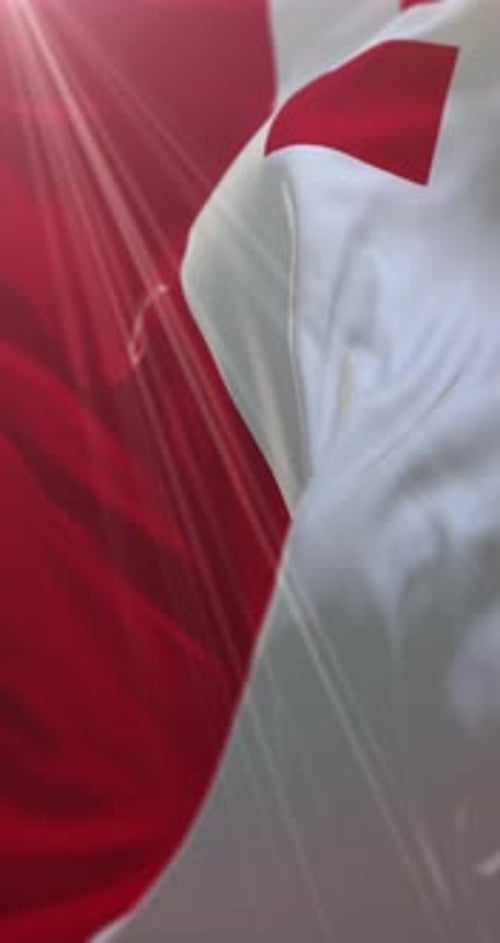 Utrechter Flagge