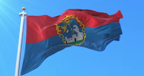 Realistic Waving Flag with Detailed Coat of Arms Animation