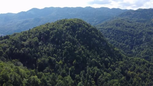 AERIAL Flying Towards a Huge Forested Mount in a Green Alpine Scenery