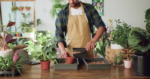 Portrait professional male florist working taking care of flowers wearing in flower shop. Close up