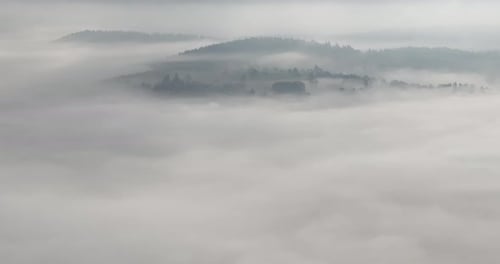 Aerial Drone Footage of Misty Fog Blowing Over Pine Tree Forest on a Beautiful Morning