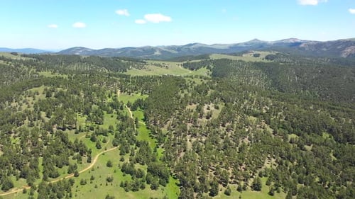 Chemins forestiers, arbres et collines avec vue aérienne
