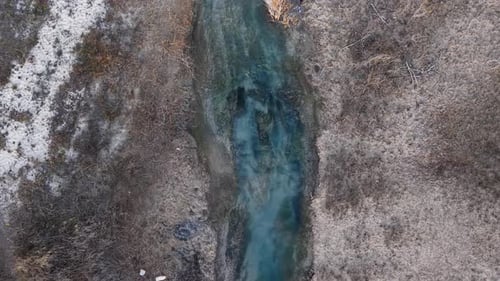 Spiraling Descent topdown view of salmon migrating through a narrow, shallow Michigan stream bordere