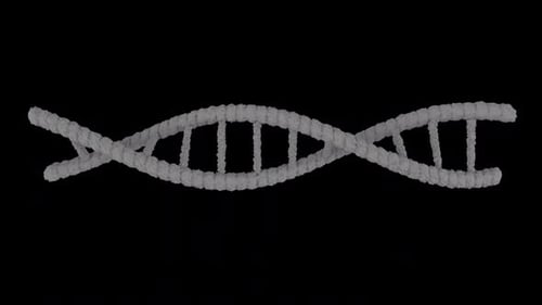 3d Dna Medical Healty Science Alpha Loop