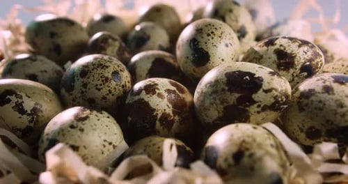 Close Up of Speckled Quail Eggs in Basket