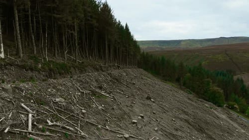 Tree Cutting Covering Hillside Leaving Barren Ground Logging Clearing Mountain Forest Causing