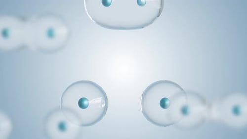 Animated 3D Cells Dividing and Multiplying Microscopic Loop