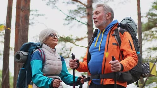 Hiking Tourism Adventure Senior Couple Man Woman Enjoying Outdoor Recreation Hiking in Forest Happy