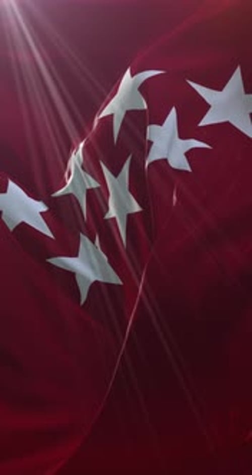 Realistic Waving Flag of Madrid Community Seamless Loop Vertical