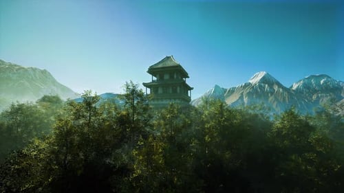 Ein ruhiger Tempel im Herzen eines üppigen Waldes in Japan