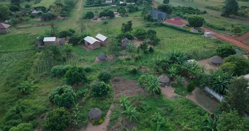 Aerial view of houses and greenery, Uganda.