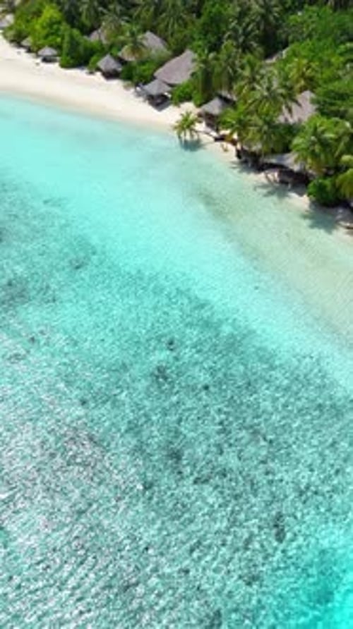 Tropical White Sand Beach with Calm Turquoise Water and Palm Trees Under Blue Sky Serene Atmosphere