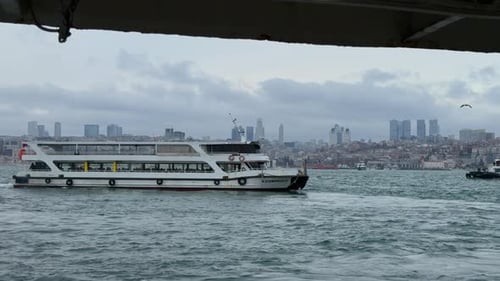 Passenger Ferry Sailing in Istanbul Bosphorus with Seagulls and City Skyline