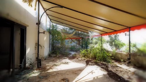 Neglected Balcony Overrun by Vegetation