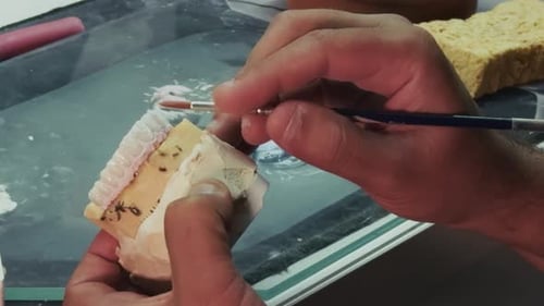 Hands Carefully Applying Material to a Dental Mold