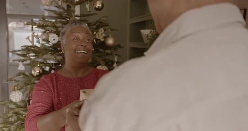 Loving Senior Couple Exchanging a Christmas Gift