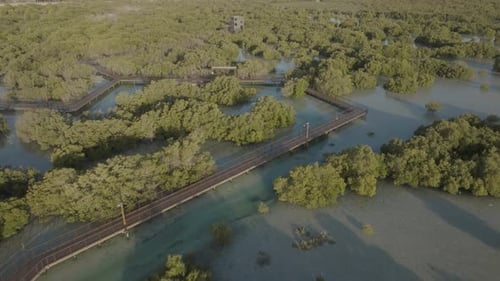 Aerial view of Jubail Mangrove, Abu Dhabi, United Arab Emirates.