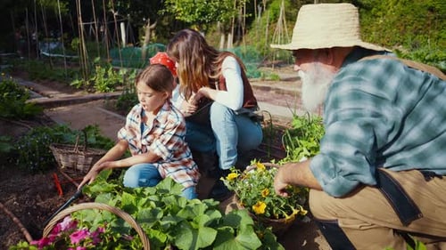 Family having fun in the vegetable garden