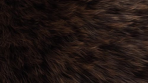Close-up of Soft Brown Fur Texture