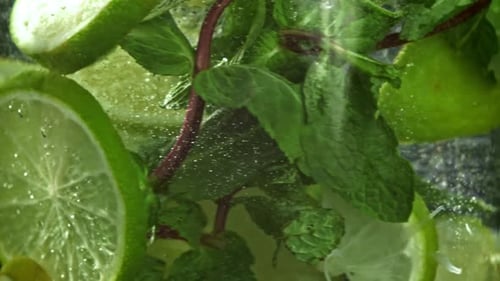 Refreshing Lime Slices and Mint in Sparkling Liquid