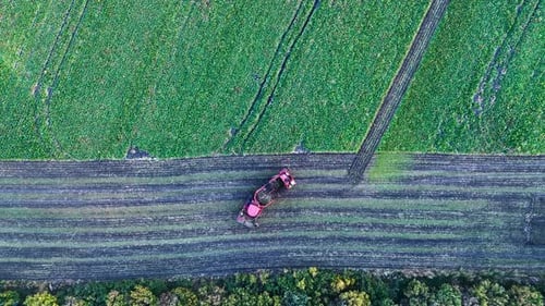Drone View Straight Down on Sugar Beet Harvesting Process