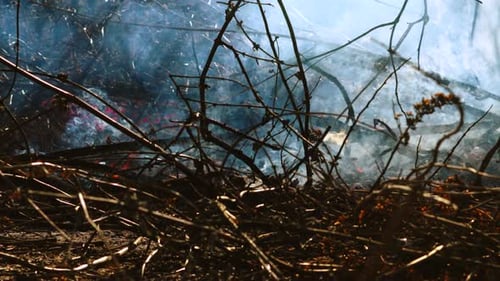 Heißes brennendes Feuer mit einem Haufen von Stöcken und Zweigen und kleinen Flammen, die darunter brennen