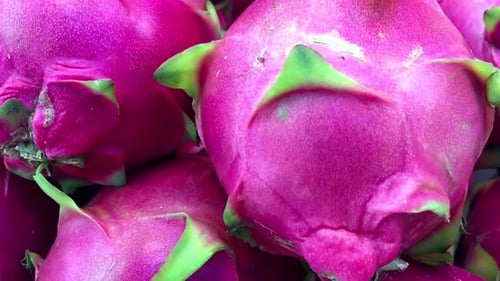Thailand Dragon Fruit