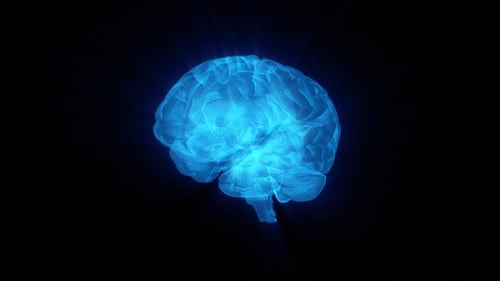 Brain Wire