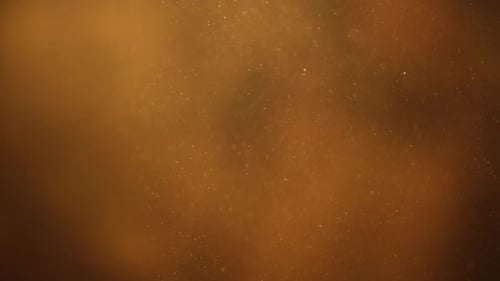 Natural particles