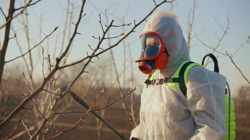 Der Gärtner sprüht die Pflanze gegen Schädlinge, Insekten und Krankheiten