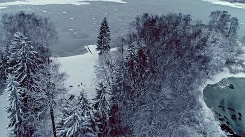Snow-covered Trees In The Forest With Frozen Stream And Seascape During Winter. - aerial