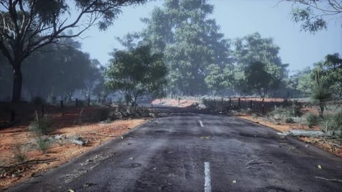 Clean Rural Road with Trees