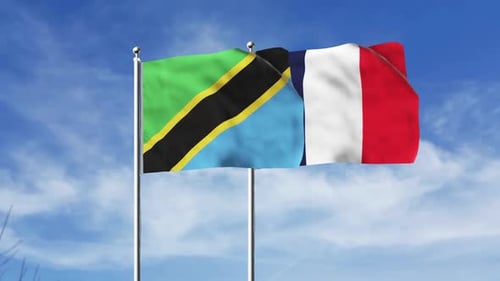Tanzania and France Flags Waving in Wind