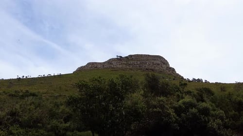 Tranquil View Of Signal Hill With Dense Nature In Cape Town, South Africa. Low Angle Shot