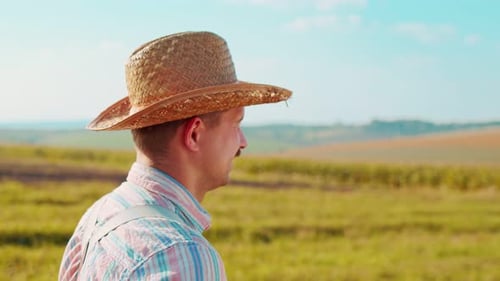 Farmer Going Along Wheat Field Male Worker Working at Summer Time Concept of Agricultural Business