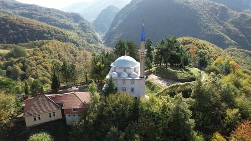 Aerial Mosque and Forest