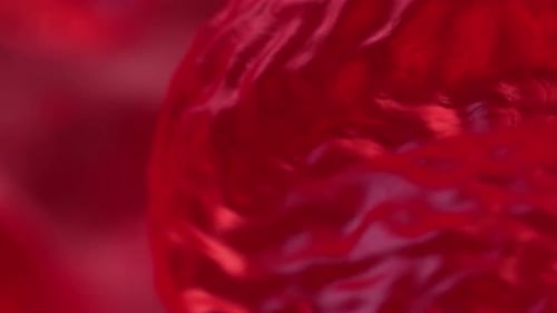 Red Blood Cells Flowing in Bloodstream for Medical Animation