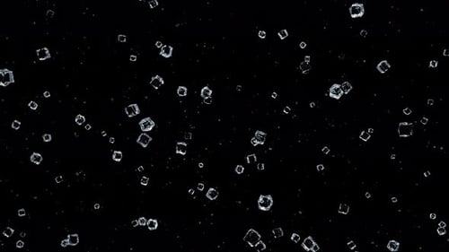 Ice Cubes