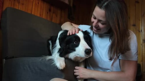 Lächelnde junge Frau streichelt und spielt mit süßem Hundewelpen Border Collie auf dem Couchsofa zu Hause drinnen