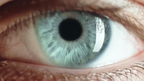 Superbe séance macro avec l'œil bleu d'un garçon