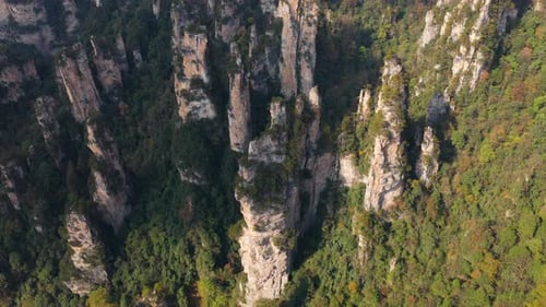 Towering Quartz-Sandstone Pillars In Lush Forest Of Zhangjiajie National Forest Park In Hunan,
