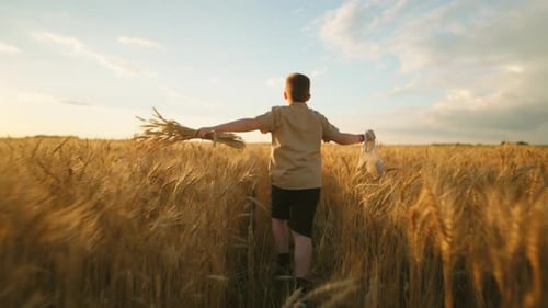 Little Boy is Running on Golden Rye Field Carrying Ears and String Bag with Bread Rear View Slow
