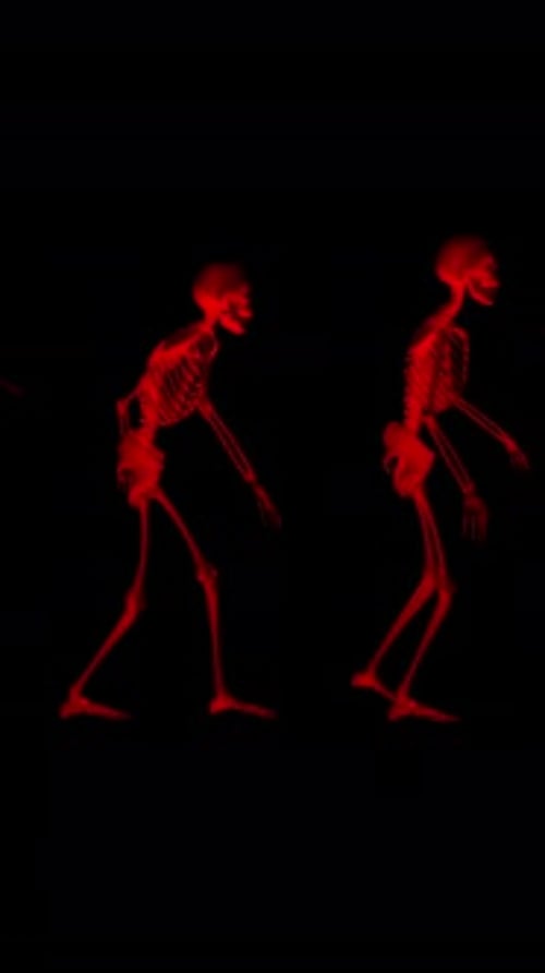 Walking Skeletons Loop 01