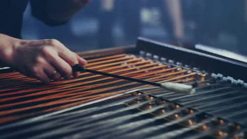 Male musician performing traditional cimbalom music close up captivating sounds