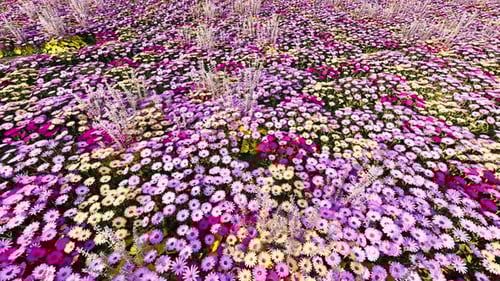 An Endless Field Decorated With Flowers