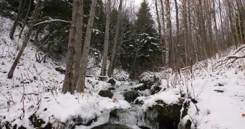TILT DOWN from trees and sky to a small waterfall flowing over rocks and ice in a snow covered fores